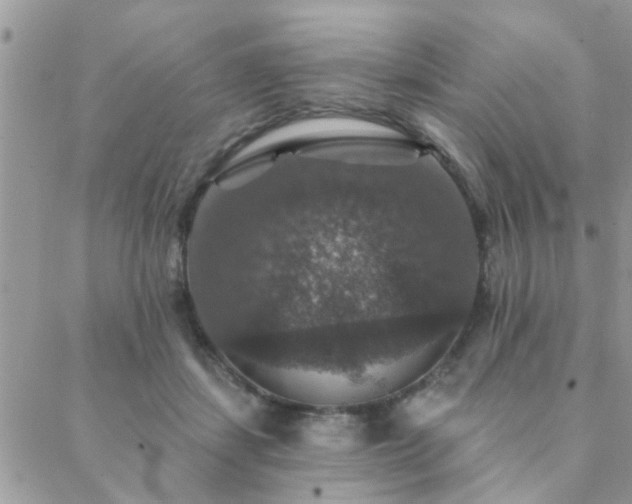 X0000088430459200705221251