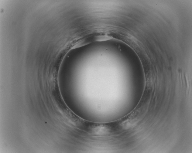 X0000088430460200705221251