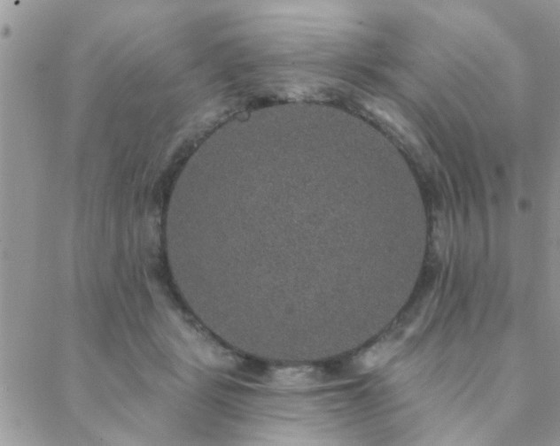 X0000088430461200705221251