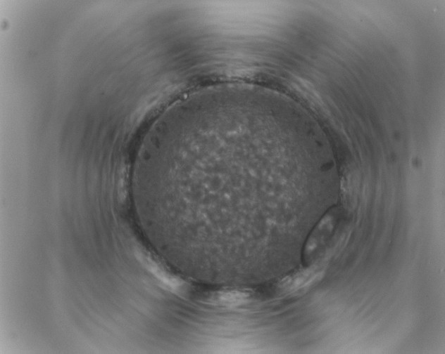 X0000088430462200705221251