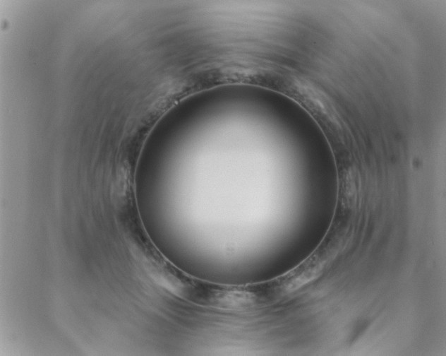 X0000088430463200705221251