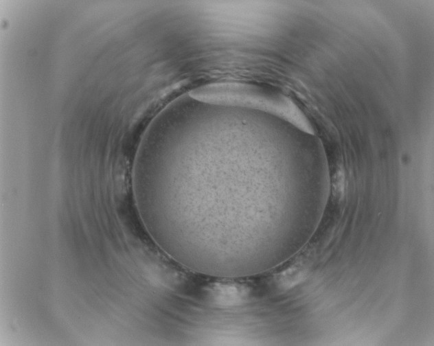 X0000088430464200705221251