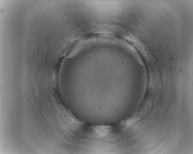 X0000088430465200705221251