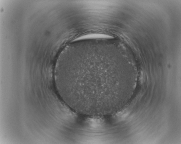 X0000088430466200705221251