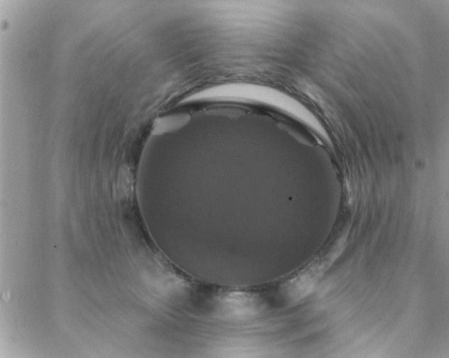 X0000088430467200705221251