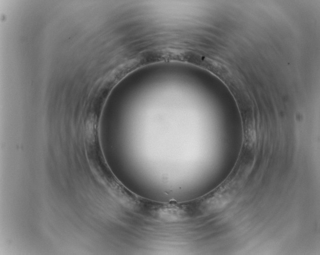 X0000088430468200705221251