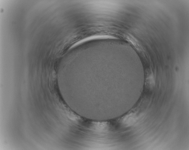 X0000088430469200705221251