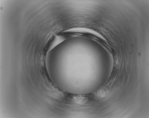 X0000088430470200705221252