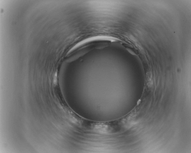 X0000088430471200705221252