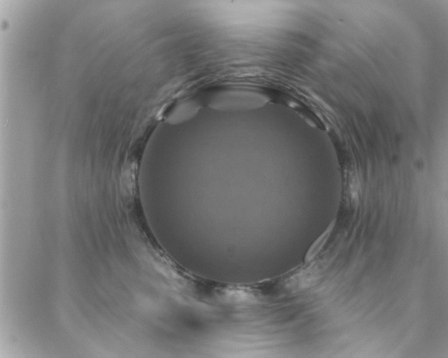 X0000088430475200705221252