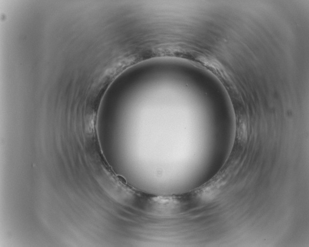 X0000088430477200705221252