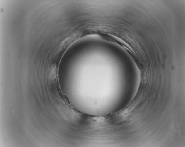 X0000088430478200705221252