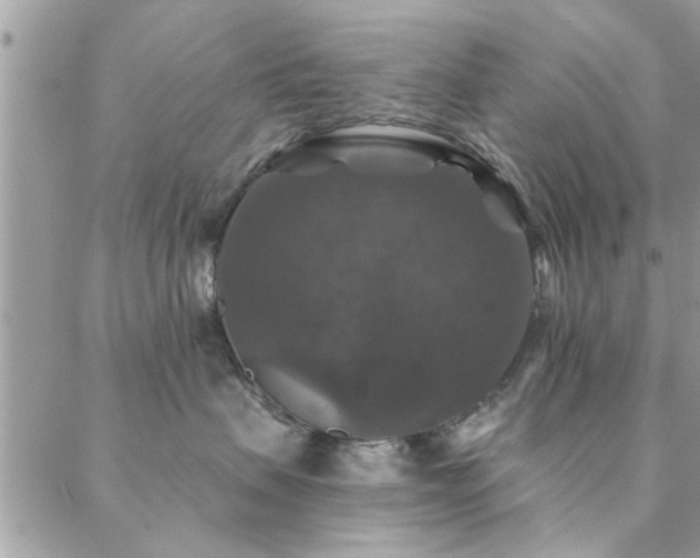 X0000088430479200705221252