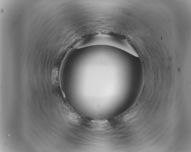 X0000088430480200705221252