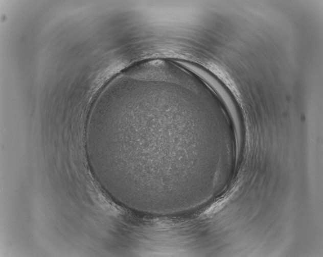 X0000088430481200705221251