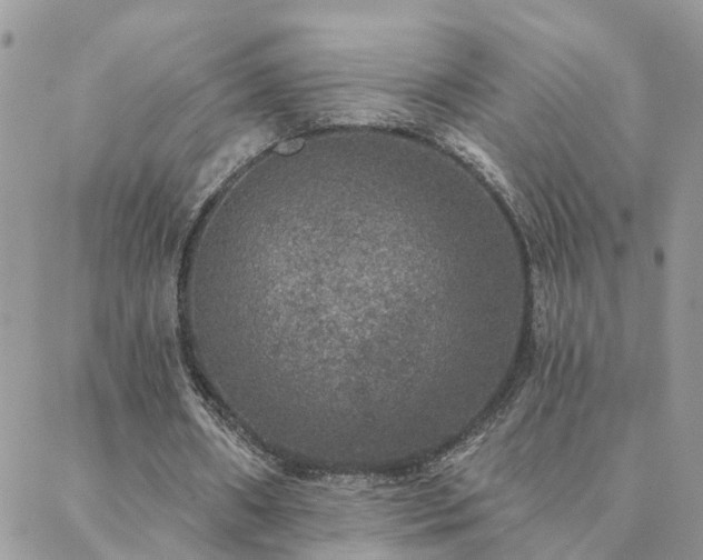 X0000088430482200705221251