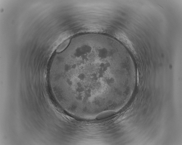 X0000088430483200705221251