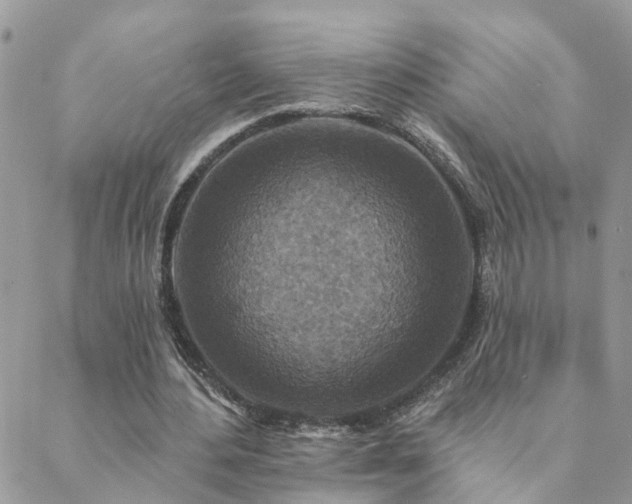 X0000088430484200705221251