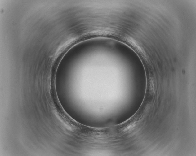 X0000088430486200705221251