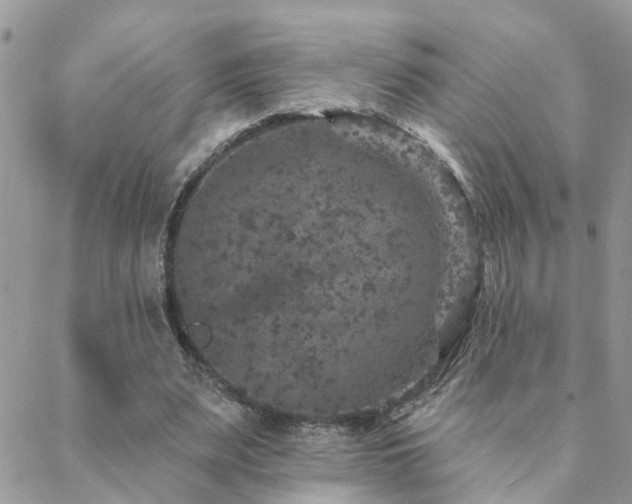 X0000088430487200705221251