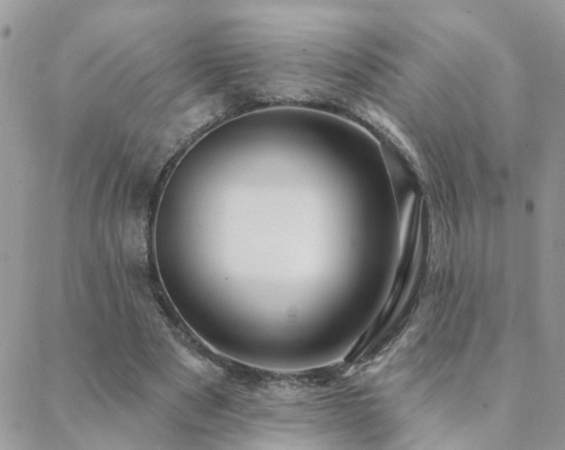 X0000088430489200705221251