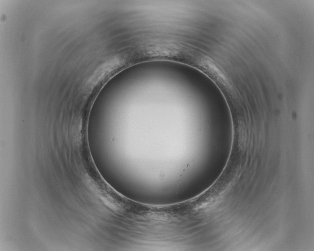 X0000088430490200705221251