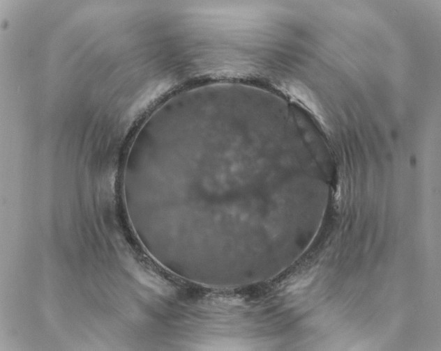 X0000088430491200705221251