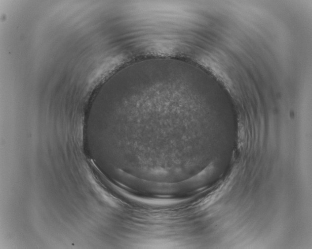 X0000088430493200705221251