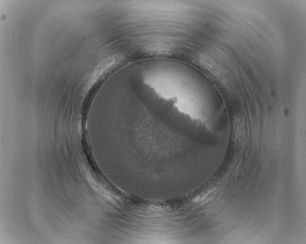 X0000088430494200705221251