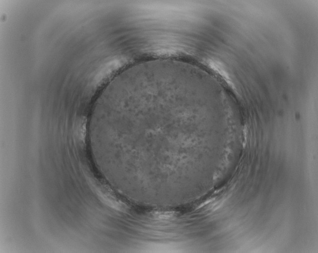 X0000088430495200705221251