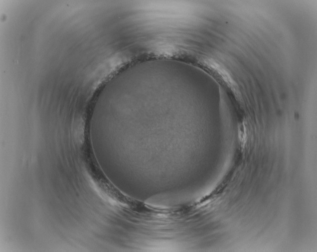 X0000088430496200705221251