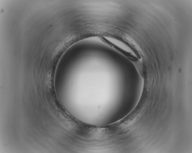 X0000088430497200705221251