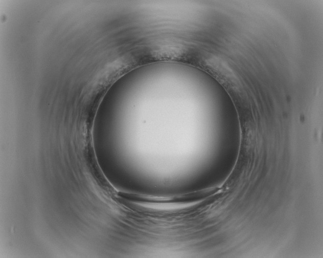 X0000088430498200705221251