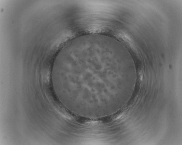 X0000088430499200705221251