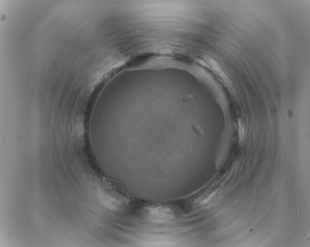 X0000088430500200705221251