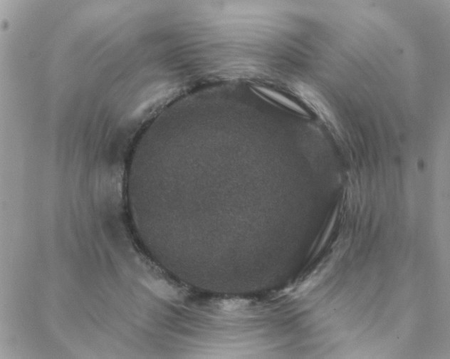 X0000088430501200705221251