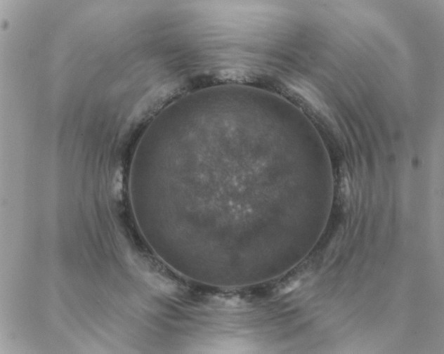 X0000088430502200705221251