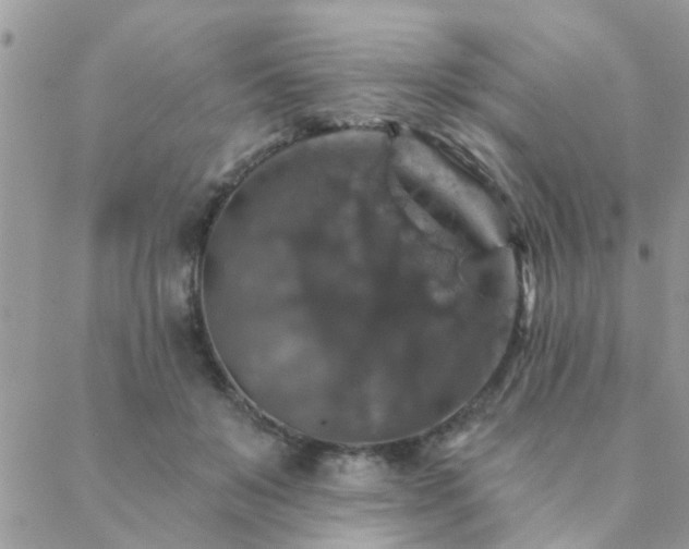 X0000088430503200705221251