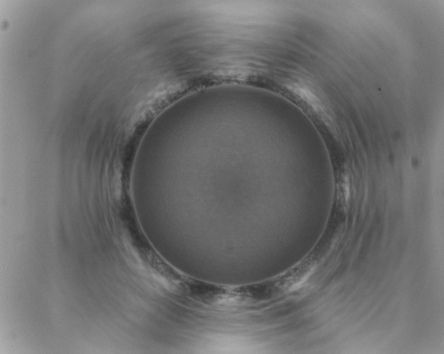 X0000088430504200705221251