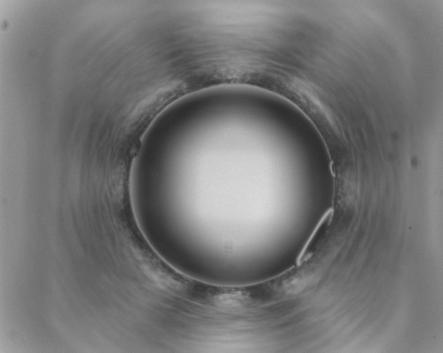 X0000088430505200705221250