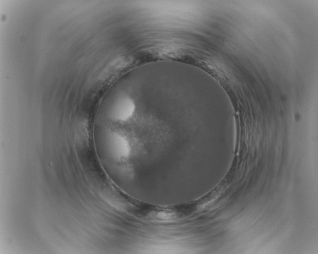 X0000088430506200705221250