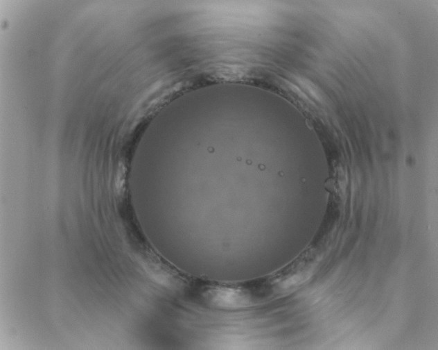 X0000088430507200705221250