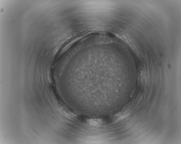 X0000088430508200705221250