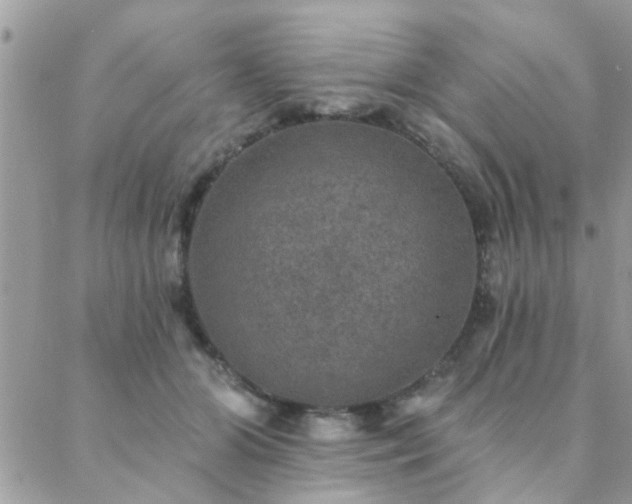 X0000088430510200705221250