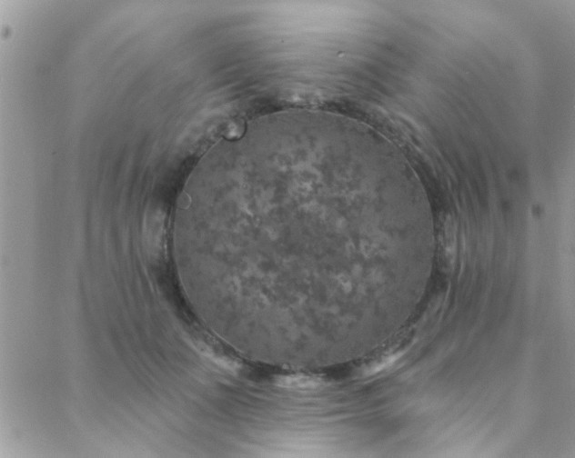 X0000088430511200705221250