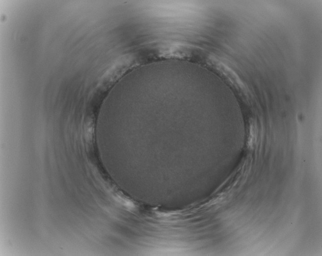 X0000088430513200705221250