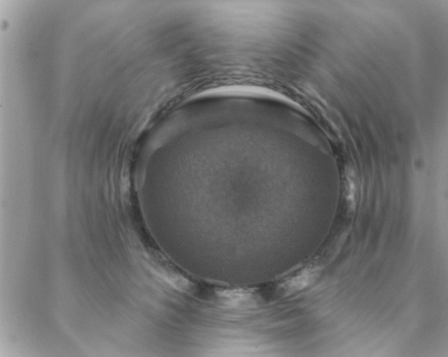 X0000088430516200705221250