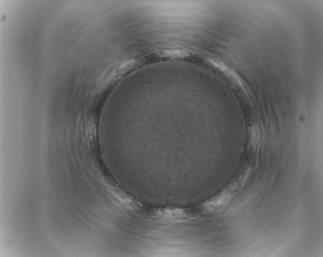 X0000088430517200705221250