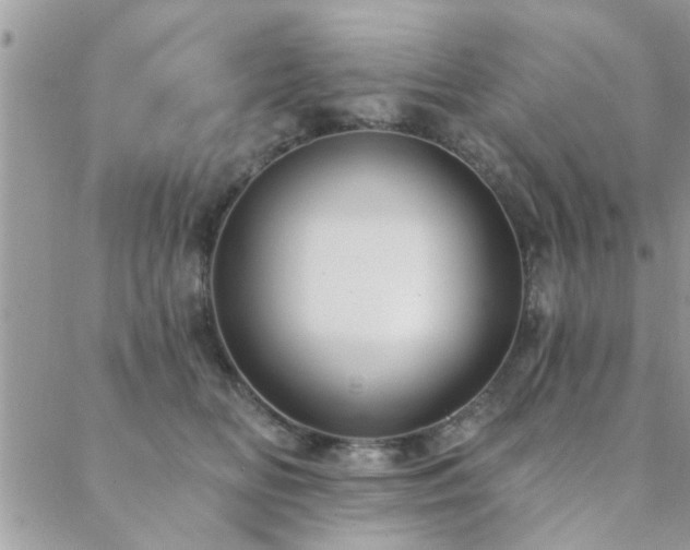 X0000088430518200705221250