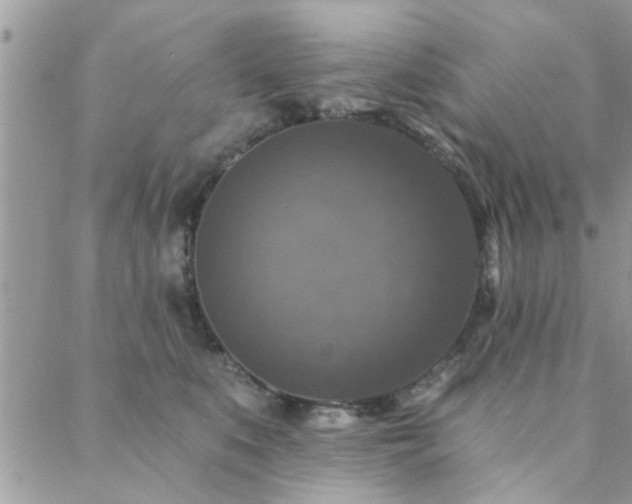 X0000088430519200705221250